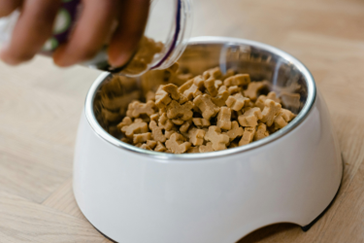 Nous offrons de la nourriture pour animaux naturels et de santé